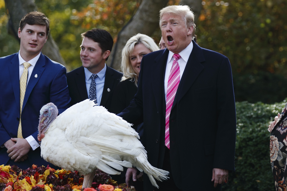 President Donald Trump pardons Drumstick during the National Thanksgiving Turkey pardoning ceremony in the Rose Garden of the White House, Tuesday, Nov. 21, 2017, in Washington. (AP Photo/Evan Vucci)